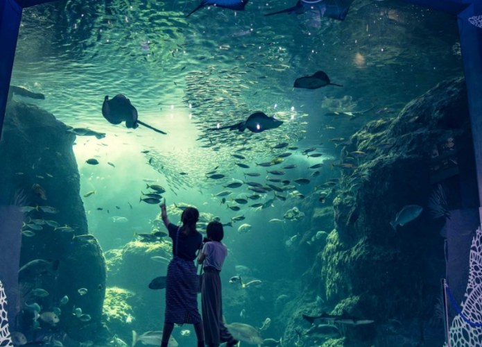 江之島水族館 江之島水族館