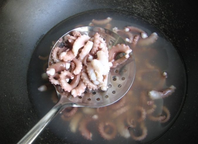 八爪魚 八爪魚