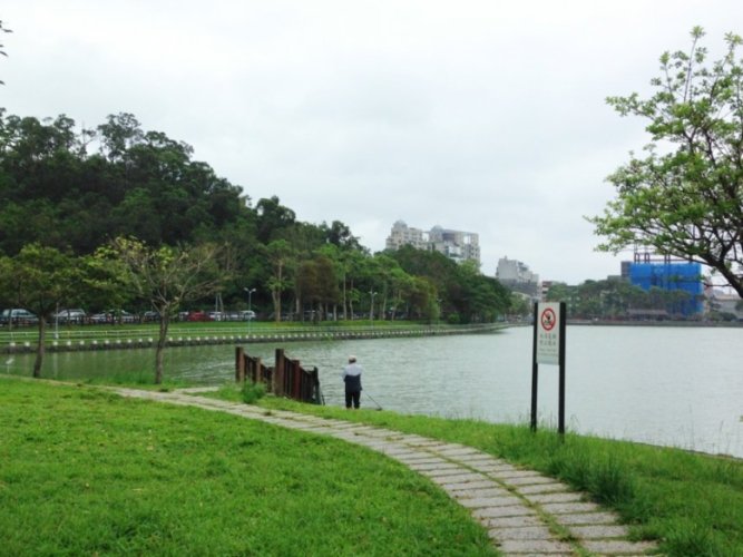 碧湖 碧湖