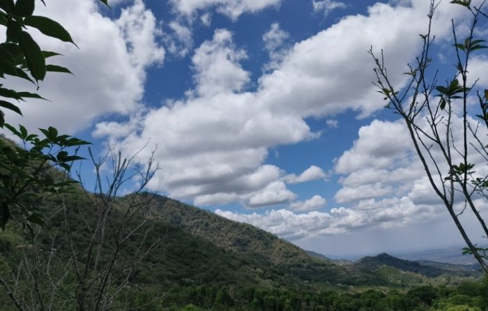 梅嶺風景區 梅嶺風景區