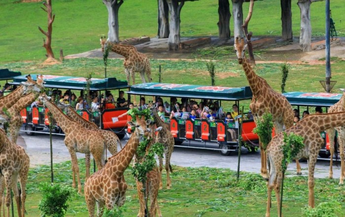 廣州長隆動物園 廣州長隆動物園