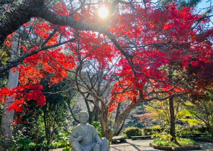 鎮國寺 鎮國寺