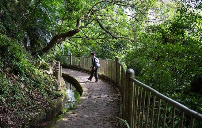 貴子坑親山步道 貴子坑親山步道