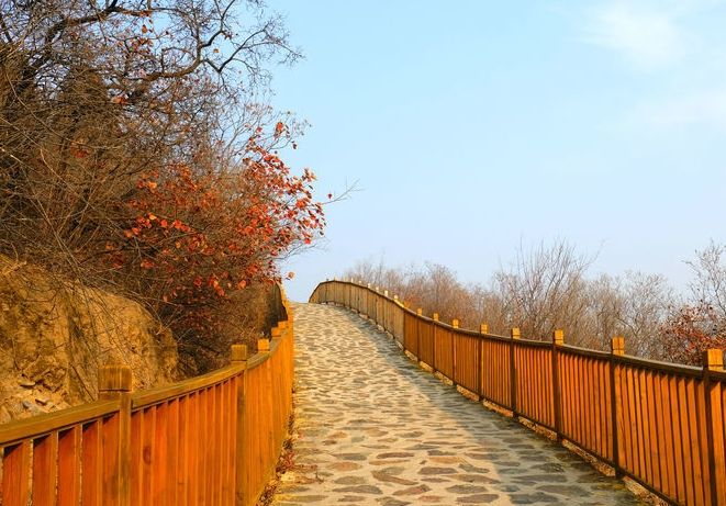 慈善寺 慈善寺