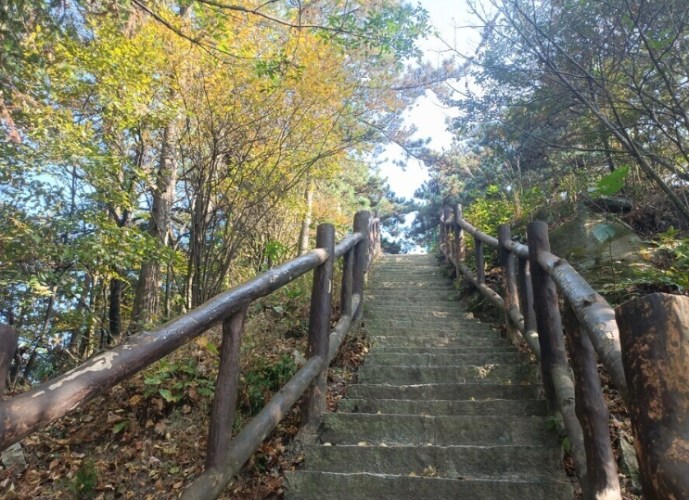 林梢步道 林梢步道