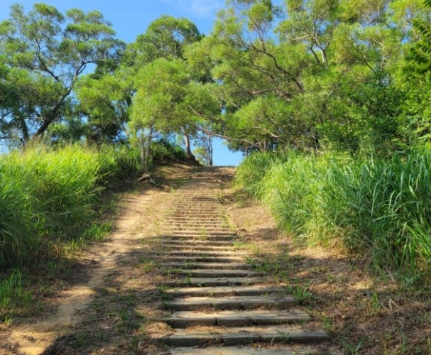 鹿廚坑步道 鹿廚坑步道