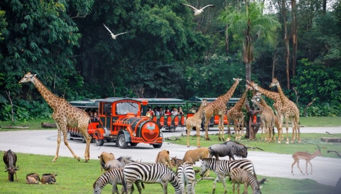 長隆動物園 長隆動物園