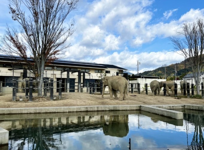 京都市動物園 京都市動物園