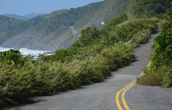 十二號橋溯溪步道 十二號橋溯溪步道