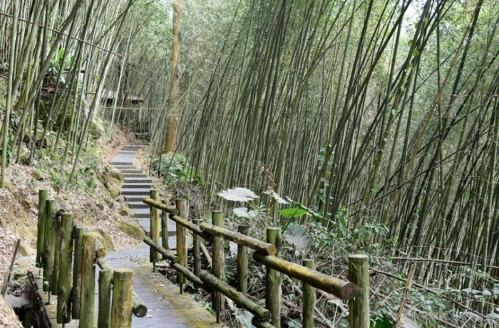 迷糊步道 迷糊步道