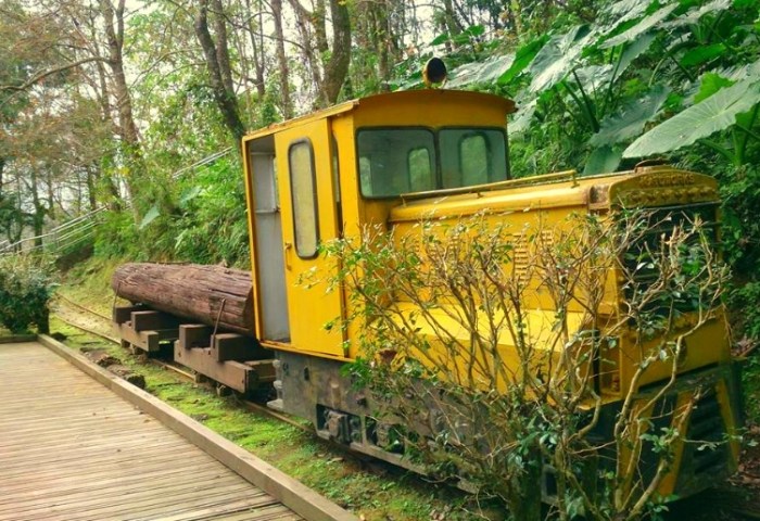 池南國家森林遊樂區 池南國家森林遊樂區