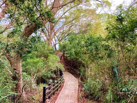 十二寮山登山步道 十二寮山登山步道