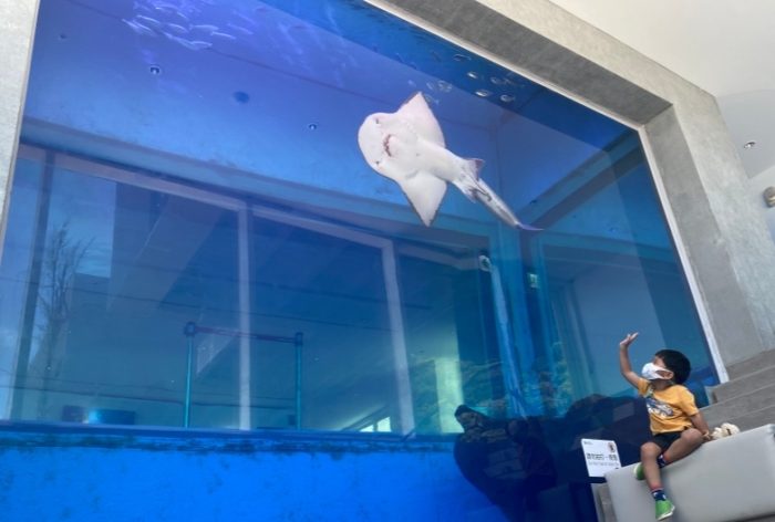 基隆水族館 基隆水族館