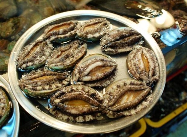 濟州島飯店 濟州島飯店