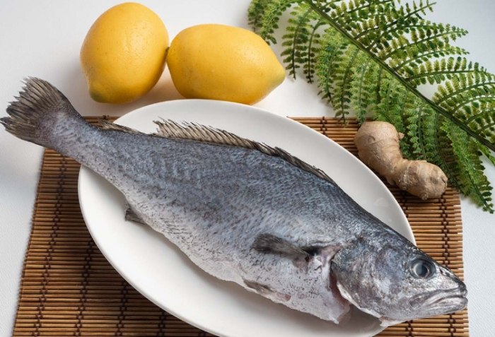 鮸魚 鮸魚