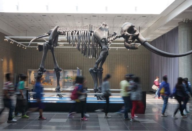 台中自然科學博物館 台中自然科學博物館