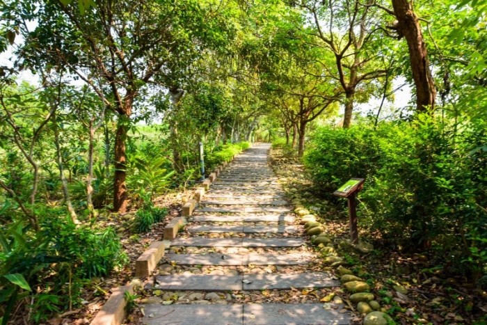 虎山登山步道 虎山登山步道