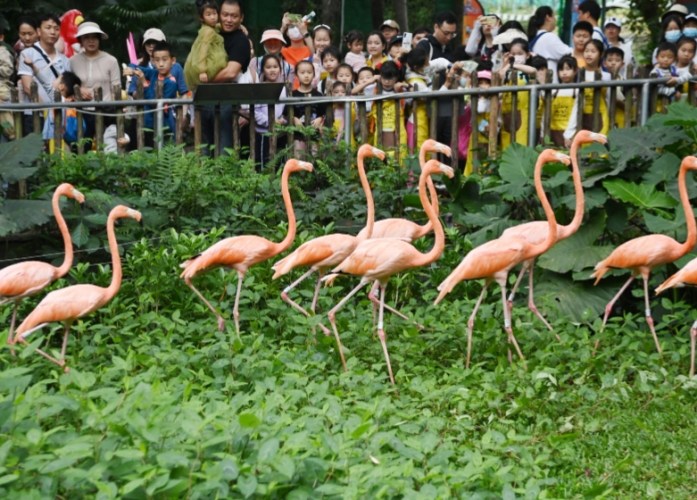 上海野生動物園