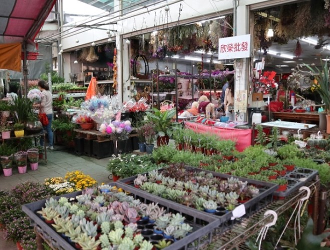 台中花市 台中花市