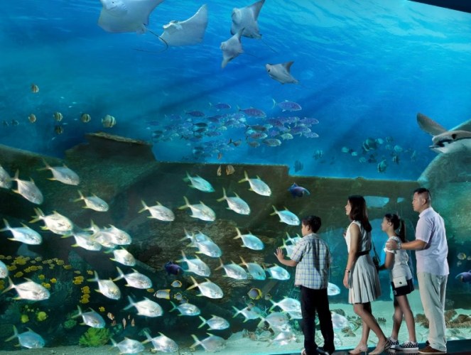 花蓮水族館