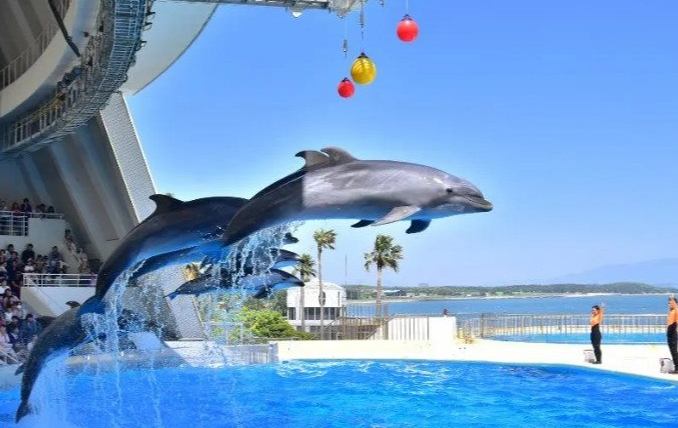 福岡水族館 福岡水族館