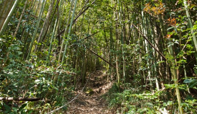 鳥嘴山 鳥嘴山