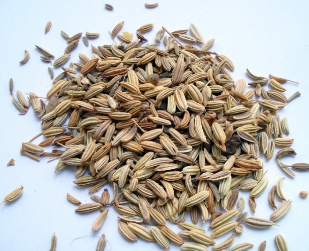 小茴香功效 小茴香功效