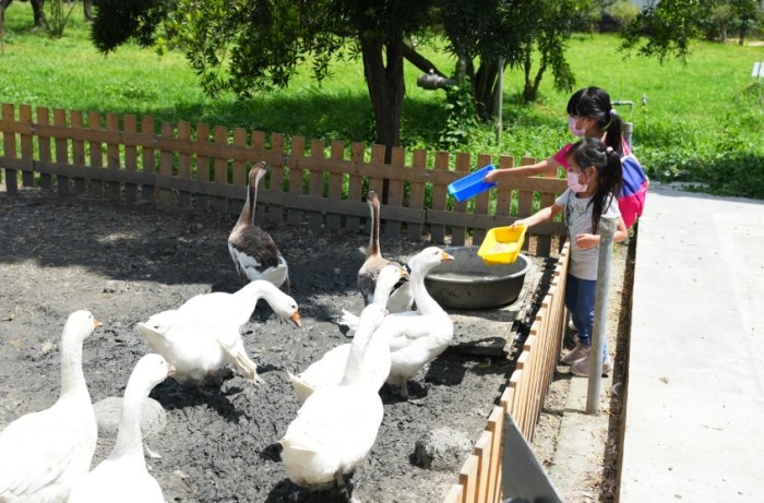 彰化親子農場 彰化親子農場
