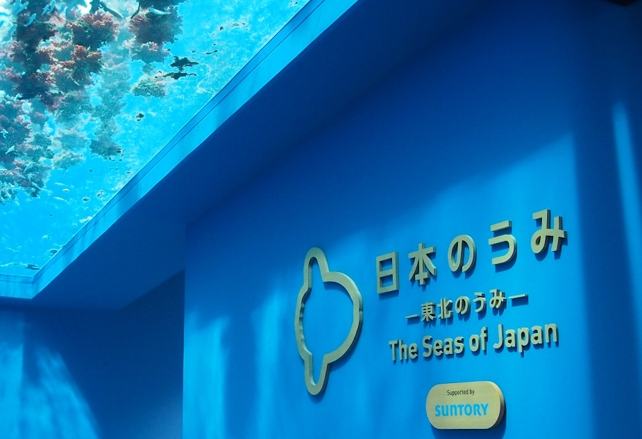 仙台海洋森林水族館 仙台海洋森林水族館