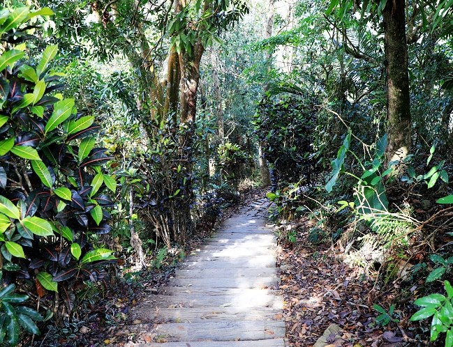 獨立山國家步道 獨立山國家步道