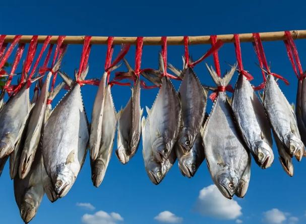 鹹魚 鹹魚