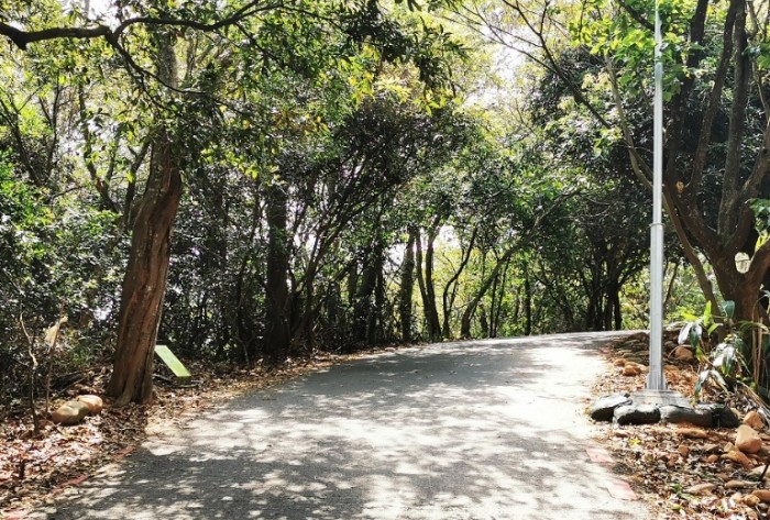 員林藤山步道 員林藤山步道