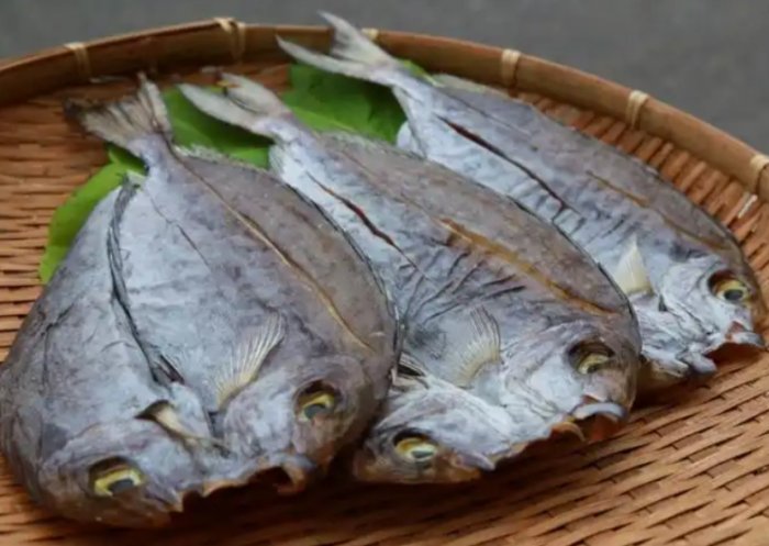 象魚 象魚