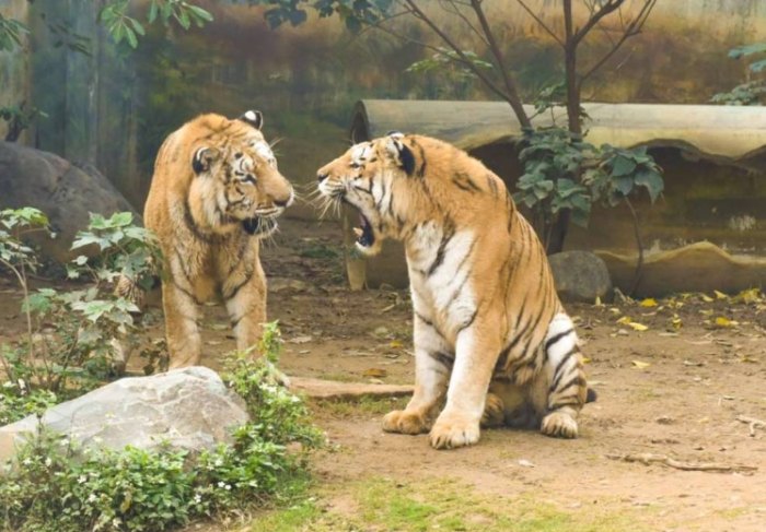 新竹市動物園 新竹市動物園