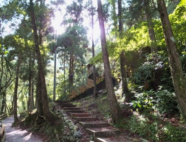 新北步道 新北步道