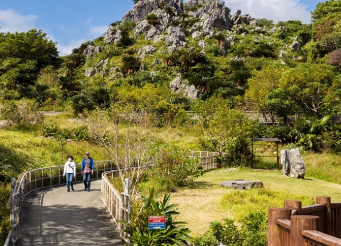 大石林山 大石林山