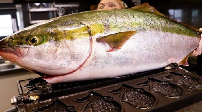 魴魚 魴魚