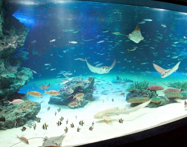 花蓮水族館