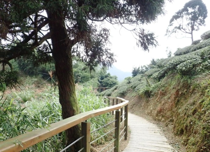 雲之南道步道 雲之南道步道