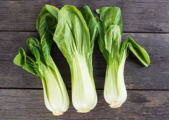 小白菜種植 小白菜種植