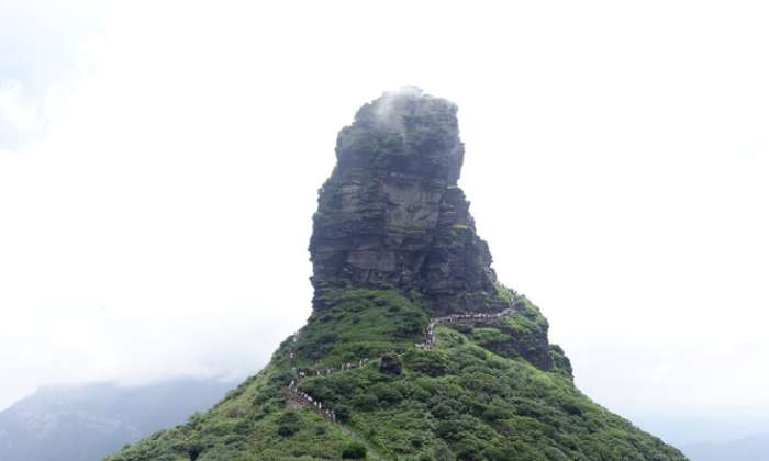 梵淨山 梵淨山