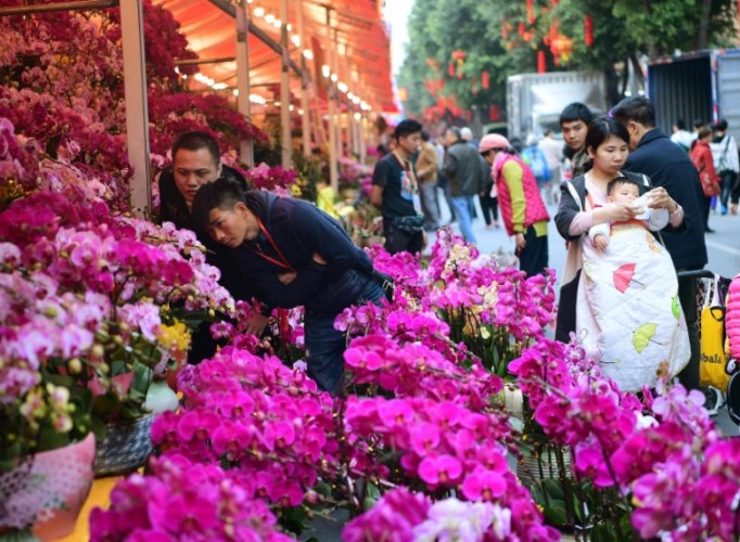 林口花市 林口花市