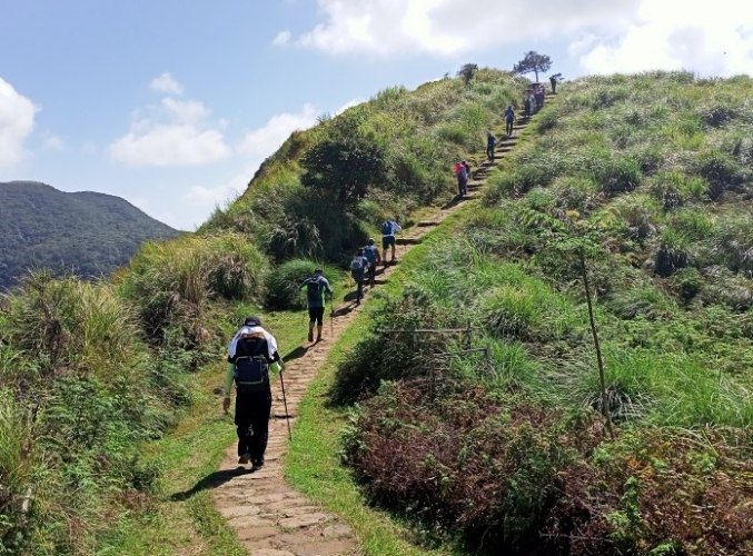 頂山石梯嶺步道