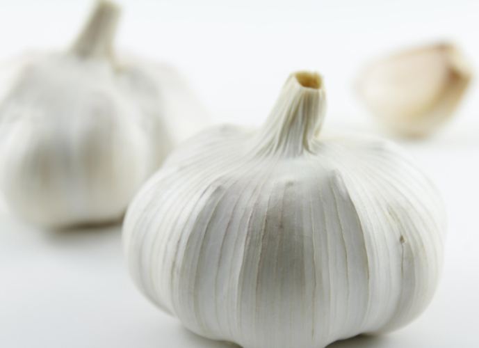 大蒜功效 大蒜功效