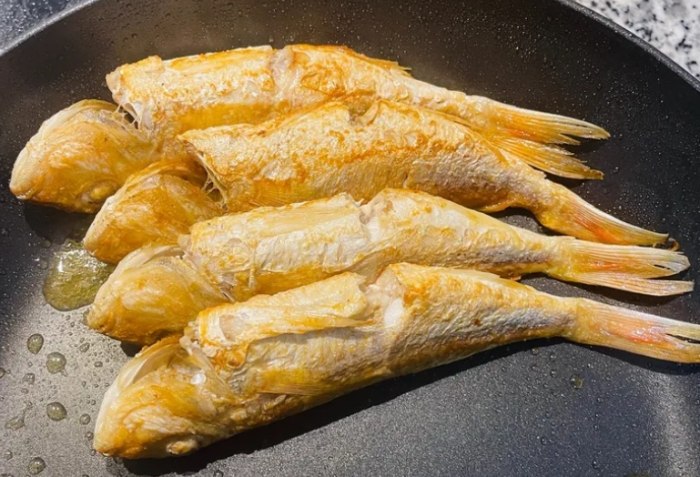 刺蔥魚 刺蔥魚