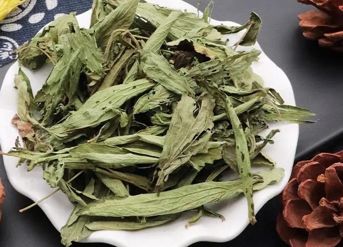 甜菊葉功效 甜菊葉功效