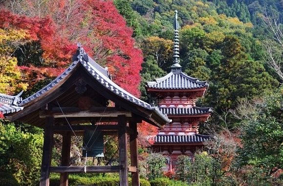 三室戶寺 三室戶寺