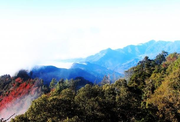 橫嶺山步道 橫嶺山步道