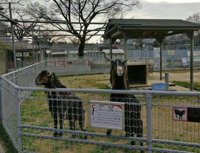 天王寺動物園 天王寺動物園