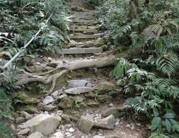 尾寮山